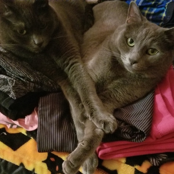 Meet your Posher, Kelly - Picture 1 of 1